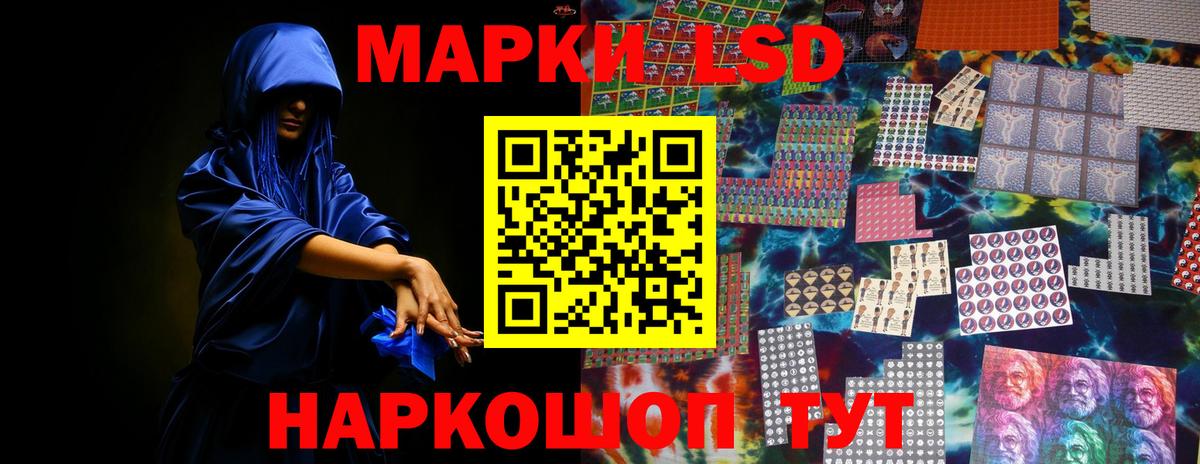 МЕФ Будённовск