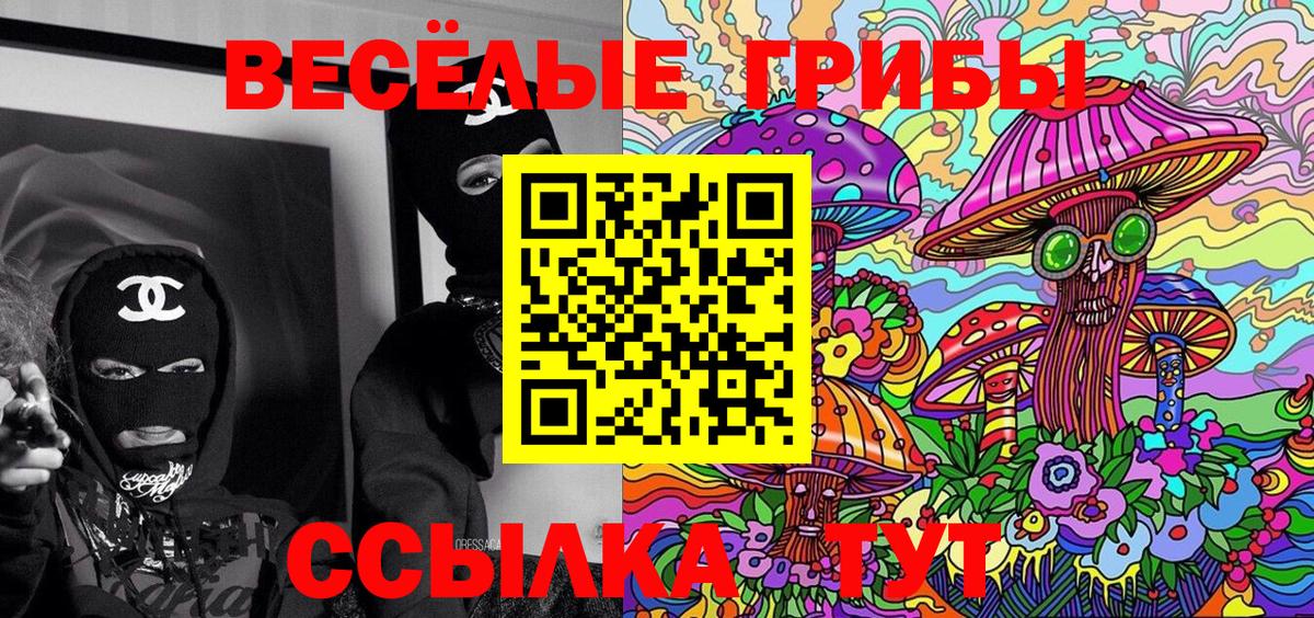 Будённовск  Галлюциногенные грибы Cubensis  Вход с VPN 