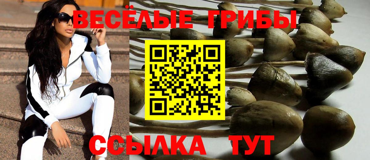 Псилоцибиновые грибы Magic Shrooms Будённовск